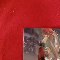Load image into Gallery viewer, 1995 Skybox Scottie Pippen #117 Chicago Bulls HOF SHIPPING INCLUDED