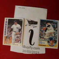 Load image into Gallery viewer, Rich &quot;Goose&quot; Gossage Topps Lot (2 Cards) New York Yankees HOF SHIPPING IS INCLUDED
