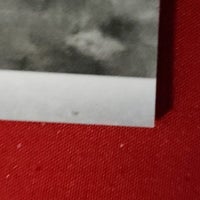 Load image into Gallery viewer, 2008 Leaf Rookies &amp; Stars Chris Johnson Freshman Orientation Patch SP /250 RC Tennessee Titans SHIPPING INCLUDED
