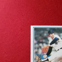 Load image into Gallery viewer, 1983 Topps Rich &quot;Goose&quot; Gossage #240 Yankees HOF SHIPPING IS INCLUDED
