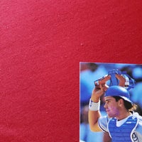 Load image into Gallery viewer, 1993 Select Mike Piazza RC Prospect #347 Dodgers HOF SHIPPING IS INCLUDED
